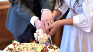 Wedding Party / Photo Wedding